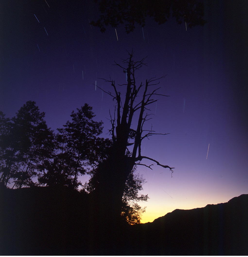 太平山新推5場秋冬觀星活動‧看星空閃亮